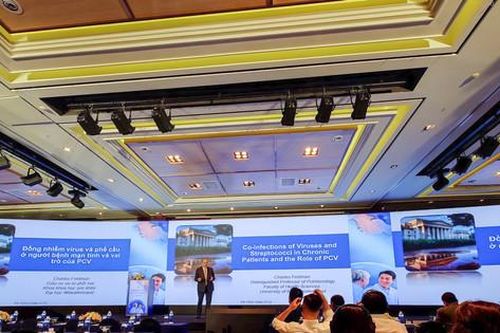 Chuỗi hội nghị khoa học về chủng ngừa các bệnh liên quan đến phế cầu
