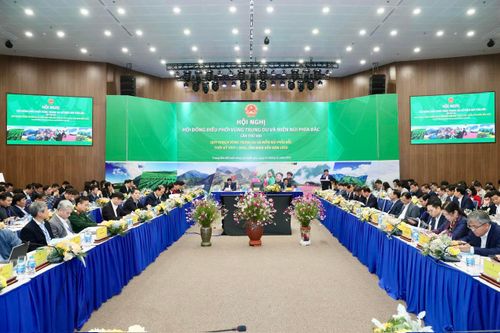 Vùng trung du và miền núi phía bắc: Chú trọng tính bền vững, chất lượng trong phát triển nông nghiệp