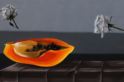Nghiệm cảnh để phân biệt hội họa và minh họa ý tưởng