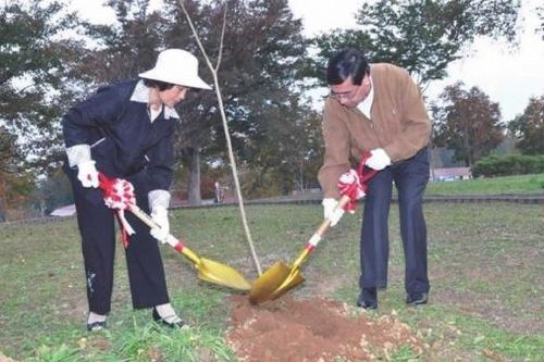 Nhật Bản: Nơi sự sống hồi sinh