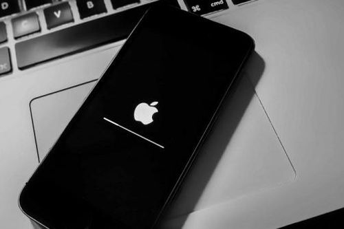 Cập nhật ngay bản vá khẩn cấp lỗ hổng trên iPhone