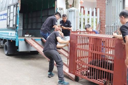 Bộ TN&MT đề nghị Hà Nội xử lý nghiêm việc buôn bán, săn bắt trái phép chim hoang dã