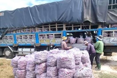 Ký thư mời vận động bán khoai lang: Phó Chủ tịch thị trấn nhận trách nhiệm