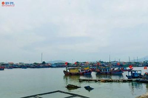 Sắp nạo vét, thanh thải đá ngầm tại cảng cá lớn nhất Bắc Trung Bộ