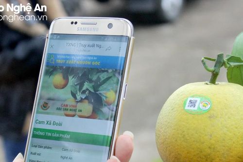 21 đơn vị, cá nhân có giấy chứng nhận quyền sử dụng chỉ dẫn địa lý cam Vinh