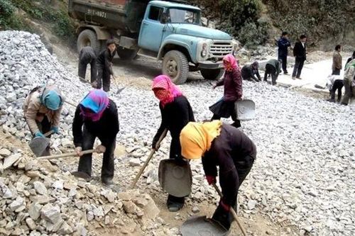 Cưỡng bức lao động bị xử lý hình sự trong trường hợp nào?