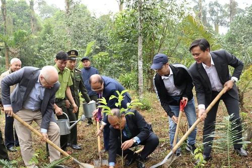 Trồng cây tại Vườn quốc gia Cúc Phương kỷ niệm 50 năm quan hệ Việt Nam-Phần Lan