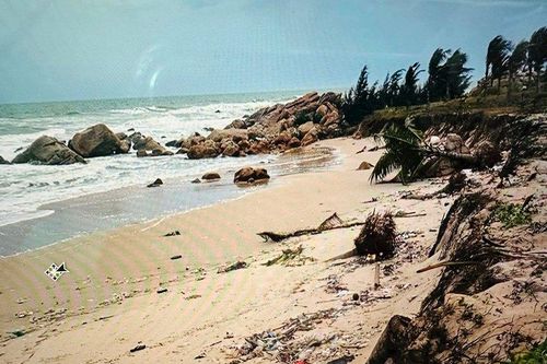 Bình Thuận: Khắc phục ngay tuyến kè sạt lở ven biển để không ảnh hưởng đến du lịch