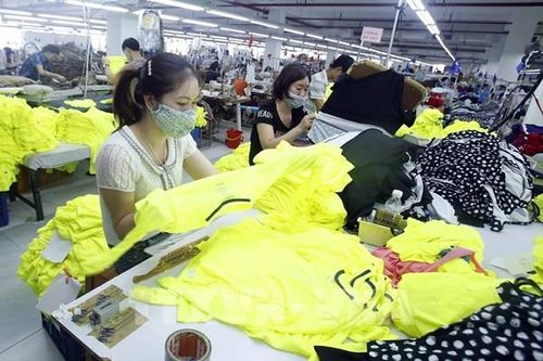 Đáp ứng yêu cầu xanh, đẩy mạnh xuất khẩu sang EU