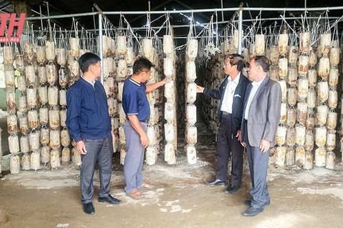 Đảng bộ huyện Như Thanh thực hiện đồng bộ các giải pháp để cán đích huyện NTM