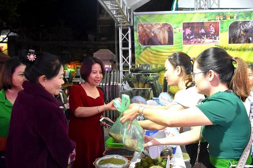 Kết nối, giới thiệu mô hình sinh kế cho phụ nữ dân tộc thiểu số