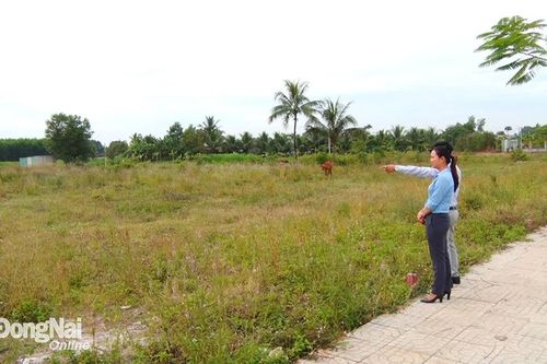 Thông tin khởi công xây dựng nhà mẫu khu dân cư Min Garden ở Thống Nhất là không đúng sự thật