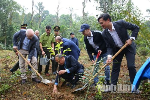 Ngày hội trồng cây Việt Nam - Phần Lan