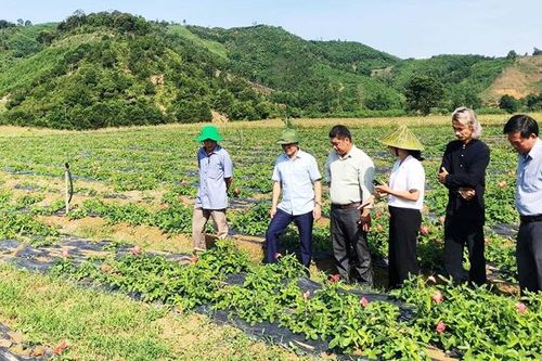 Giảm nghèo bền vững gắn với xây dựng nông thôn mới