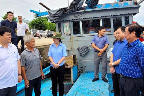 Quảng Ngãi: Xử phạt doanh nghiệp không nộp Quỹ phòng, chống thiên tai