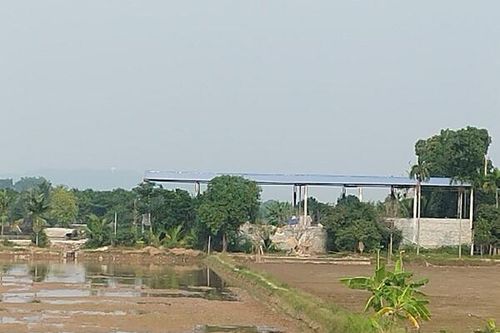 Hải Phòng: Xử lý vi phạm luật đê điều và đất nông nghiệp nhìn từ câu chuyện tại Tiên Lãng