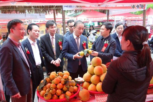 Nhộn nhịp phiên chợ cam Hưng Yên năm 2023