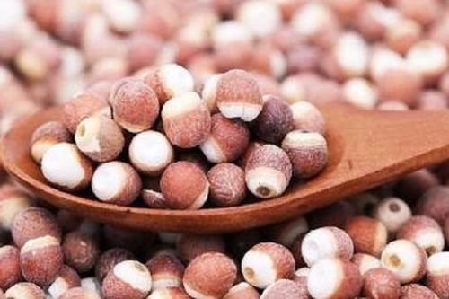 Thuốc nam trị chứng tiểu đêm nhiều lần