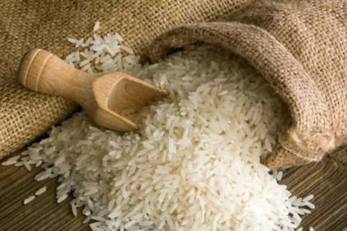 Giá lúa gạo hôm nay 3/12/2023: Tiếp đà đi ngang