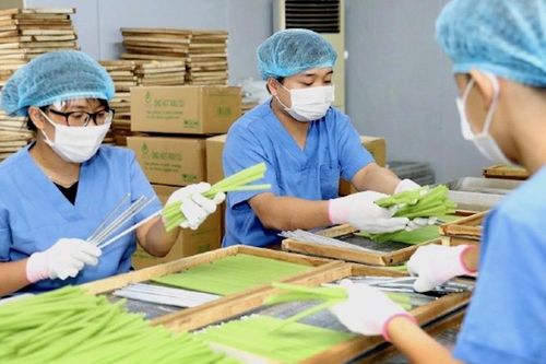 Nông sản Hà Nội rộng đường xuất khẩu