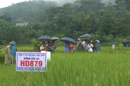 Thanh Hóa: Làm tốt công tác truyền thông, khơi dậy ý chí tự lực, tự cường trong nhân dân và cộng đồng