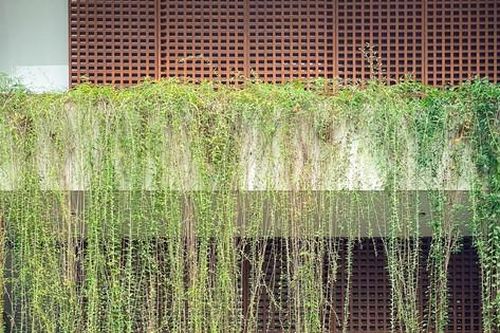 Giải pháp 2 lớp đặc biệt giúp nhà hướng Tây đã đẹp còn mát quanh năm