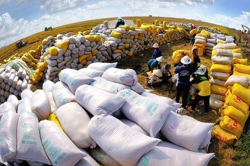 Tin tức kinh tế ngày 3/12: Việt Nam là thị trường xuất khẩu gạo lớn nhất vào Trung Quốc
