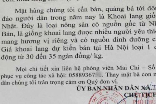 Gia Lai: Thu hồi thư mời vận động mua khoai lang