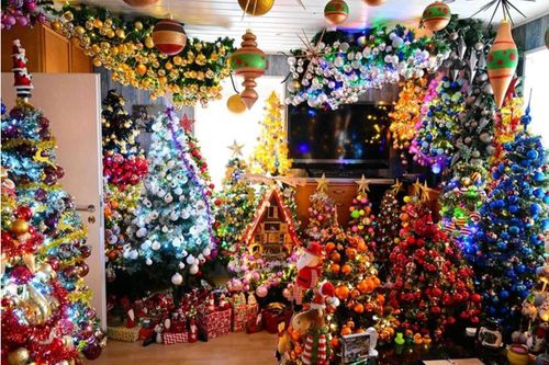 Chiêm ngưỡng ngôi nhà được trang trí với 555 cây thông Noel