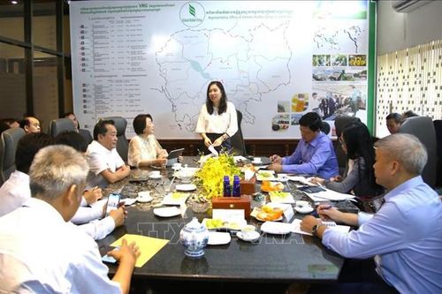 Quan tâm, tạo điều kiện cho cộng đồng người gốc Việt sinh sống, làm ăn ổn định tại Campuchia