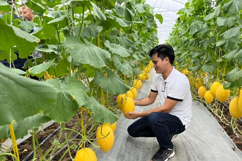 Hậu Giang hướng đến phát triển du lịch nông nghiệp gắn với sản phẩm OCOP