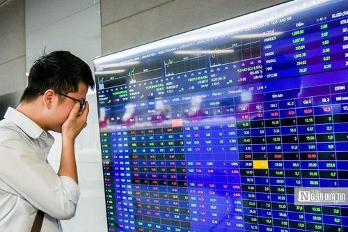 Sẽ đình chỉ giao dịch cổ phiếu doanh nghiệp không công bố BCTC 3 năm