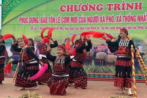 Lào Cai: Phục dựng và bảo tồn 'Lễ mừng cơm mới' của người Xá Phó