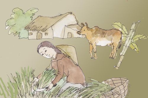 Sắc cỏ mùa đông...