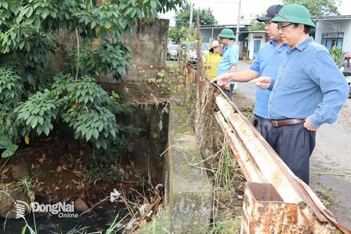 Chủ tịch huyện Thống Nhất đi kiểm tra môi trường các dòng suối trên địa bàn