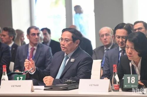 Việt Nam chuyển đổi sang năng lượng tái tạo với lộ trình và bước đi phù hợp