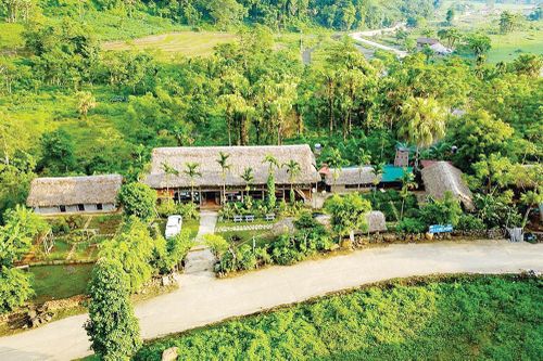 Xuân Sơn giải quyết việc làm để giảm nghèo bền vững