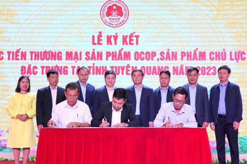 Tuyên Quang: Ứng dụng khoa học công nghệ vào sản xuất chế biến các sản phẩm OCOP