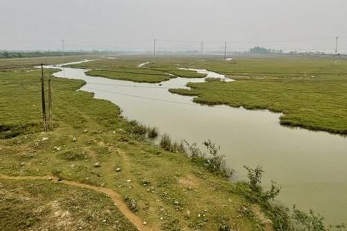 Nho Quan (Ninh Bình): Sông Sui bị bồi lắng nghiêm trọng