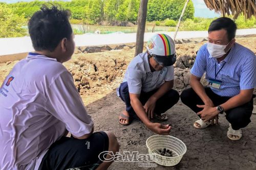 Cần đa dạng hình thức sản xuất