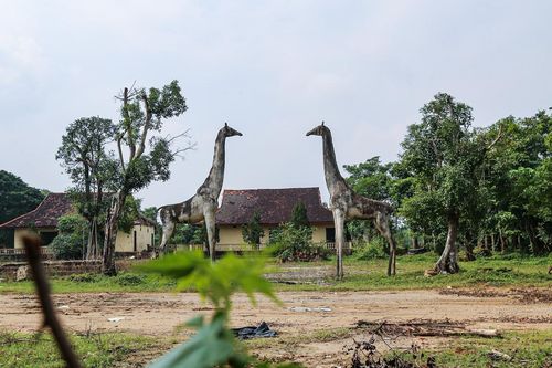 Cảnh 'ma mị' bên trong khu du lịch bỏ hoang ở Hà Tĩnh