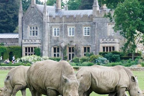 Khám phá các điểm tham quan hàng đầu ở Cotswold