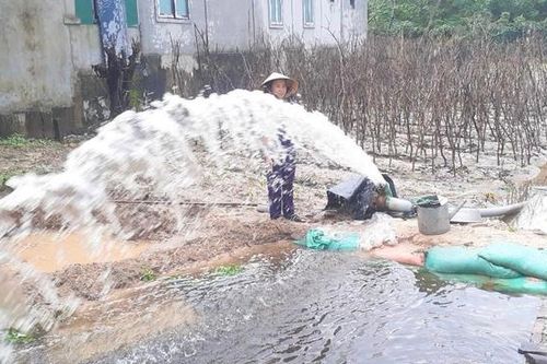 Người dân cấp tập bơm nước chống úng cho nông sản, hoa Tết