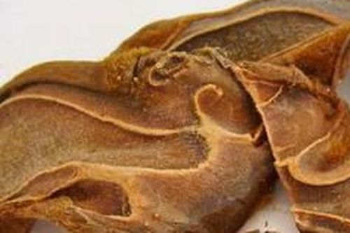 Tác dụng chữa bệnh của cẩu tích