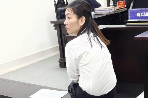 Giả danh nữ cán bộ Văn phòng Chính phủ lừa đảo chiếm đoạt hơn 16 tỷ đồng