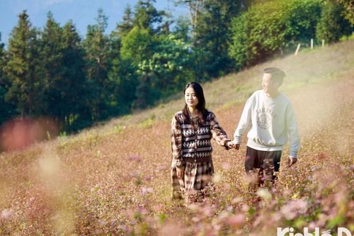 Chiêm ngưỡng vẻ đẹp hoa tam giác mạch trên vùng núi cao Hà Giang