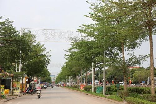 Lạng Giang xây dựng đô thị xanh, nông nghiệp sinh thái