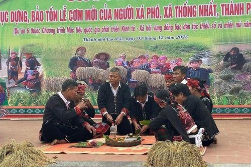 Lào Cai phục dựng, bảo tồn Tết cơm mới của người Xá Phó