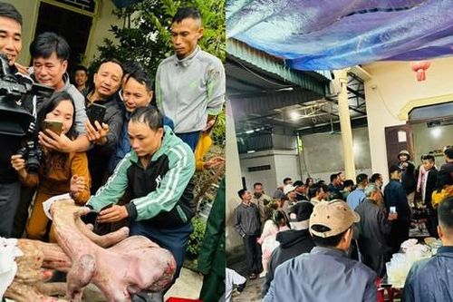 Người dân đổ xô đến xem cặp nhung nai 'khủng' nặng gần 9kg, bán giá 50 triệu đồng