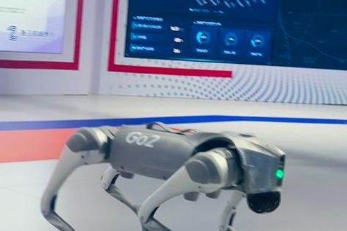 Robot pha trà, robot chó và chim bầu bạn
